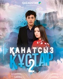 Қанатсыз құстар 2