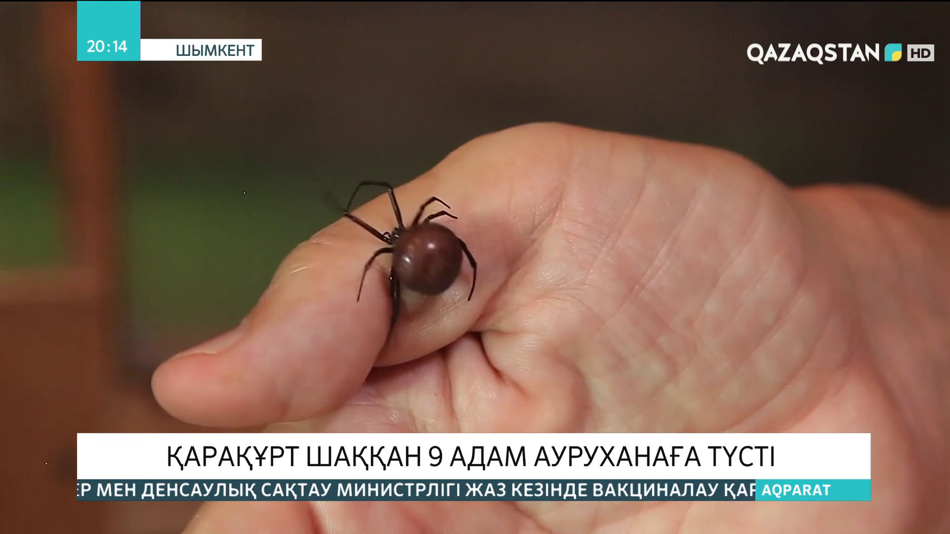 Сыртта зәр шығарып жатқан адамдардың жақыннан қарап тұрған фотосуреттері Сыртта зәр шығарып жатқан адамдардың жақыннан қарап тұрған фотосуреттері