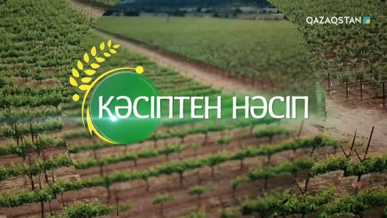 Кәсіптен нәсіп