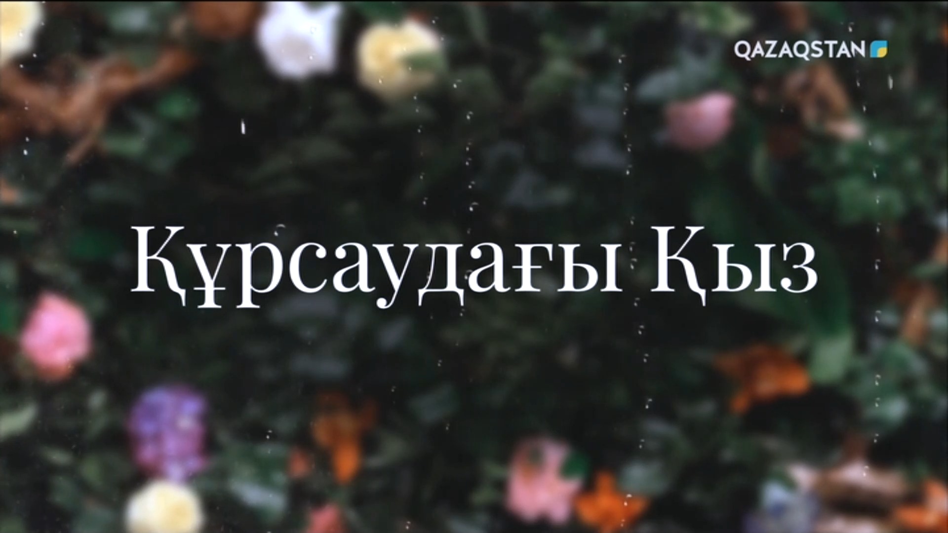 Құрсаудағы қыз