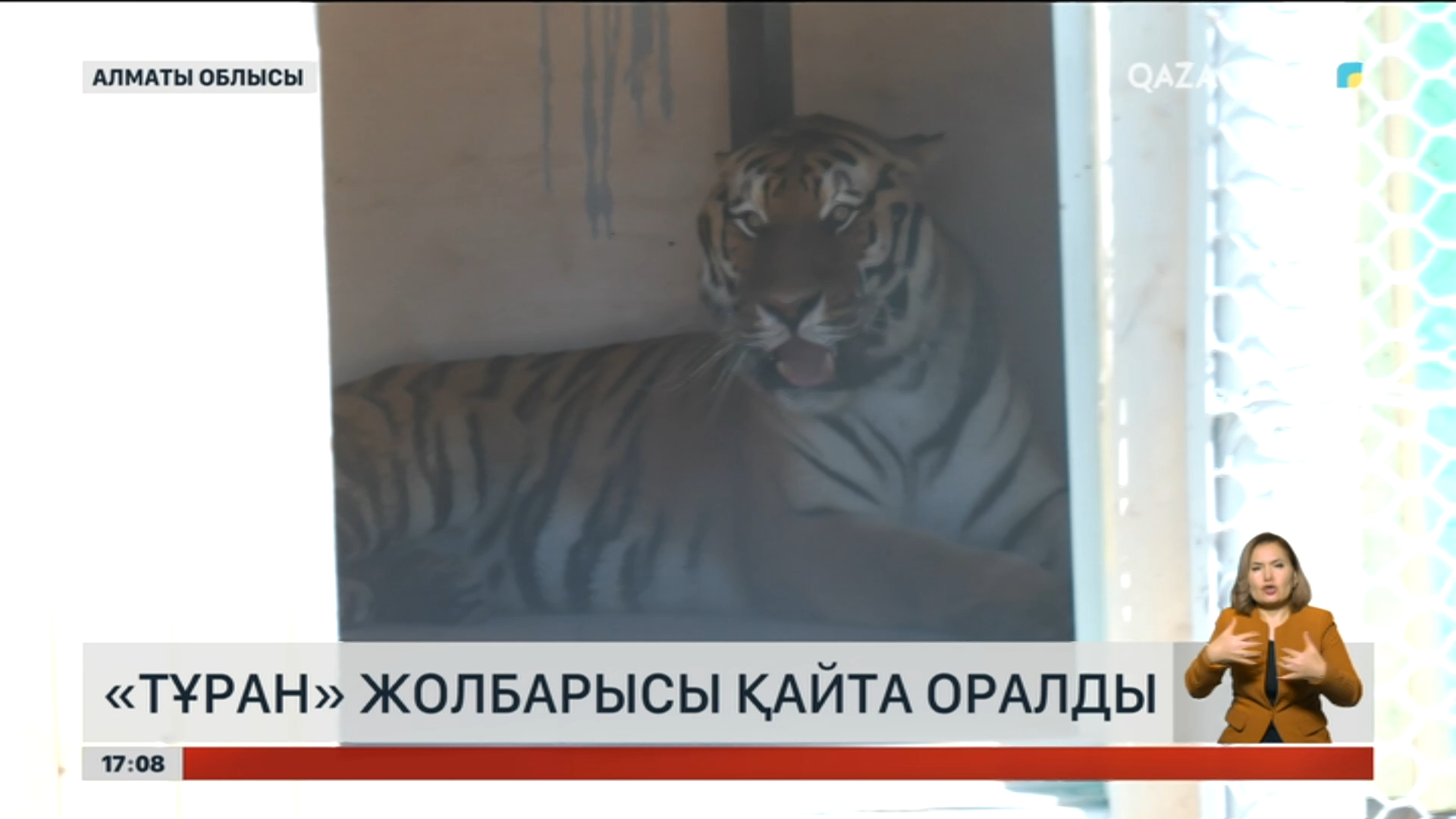 Жеке альбомдардағы секс фотосуреттері