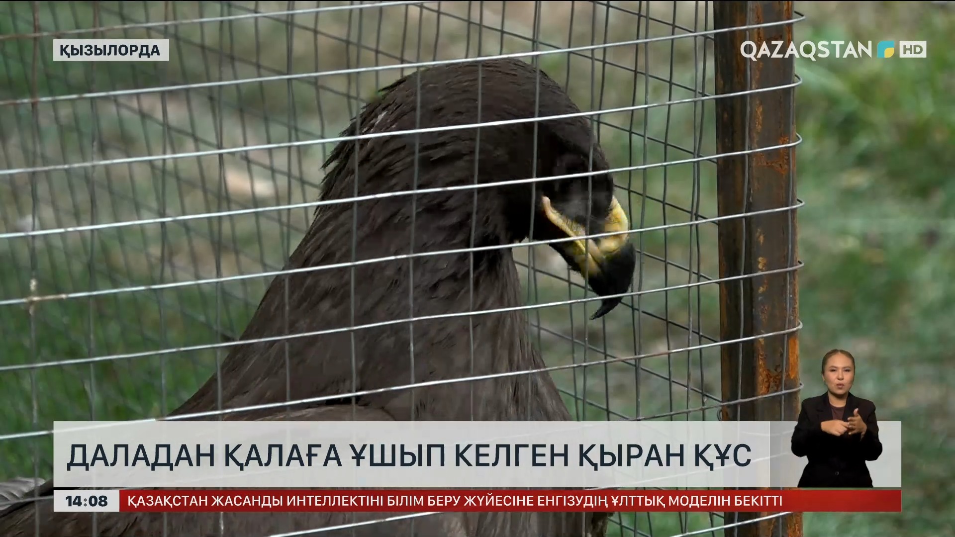 Қолмен жасалған порнофотосуреттер