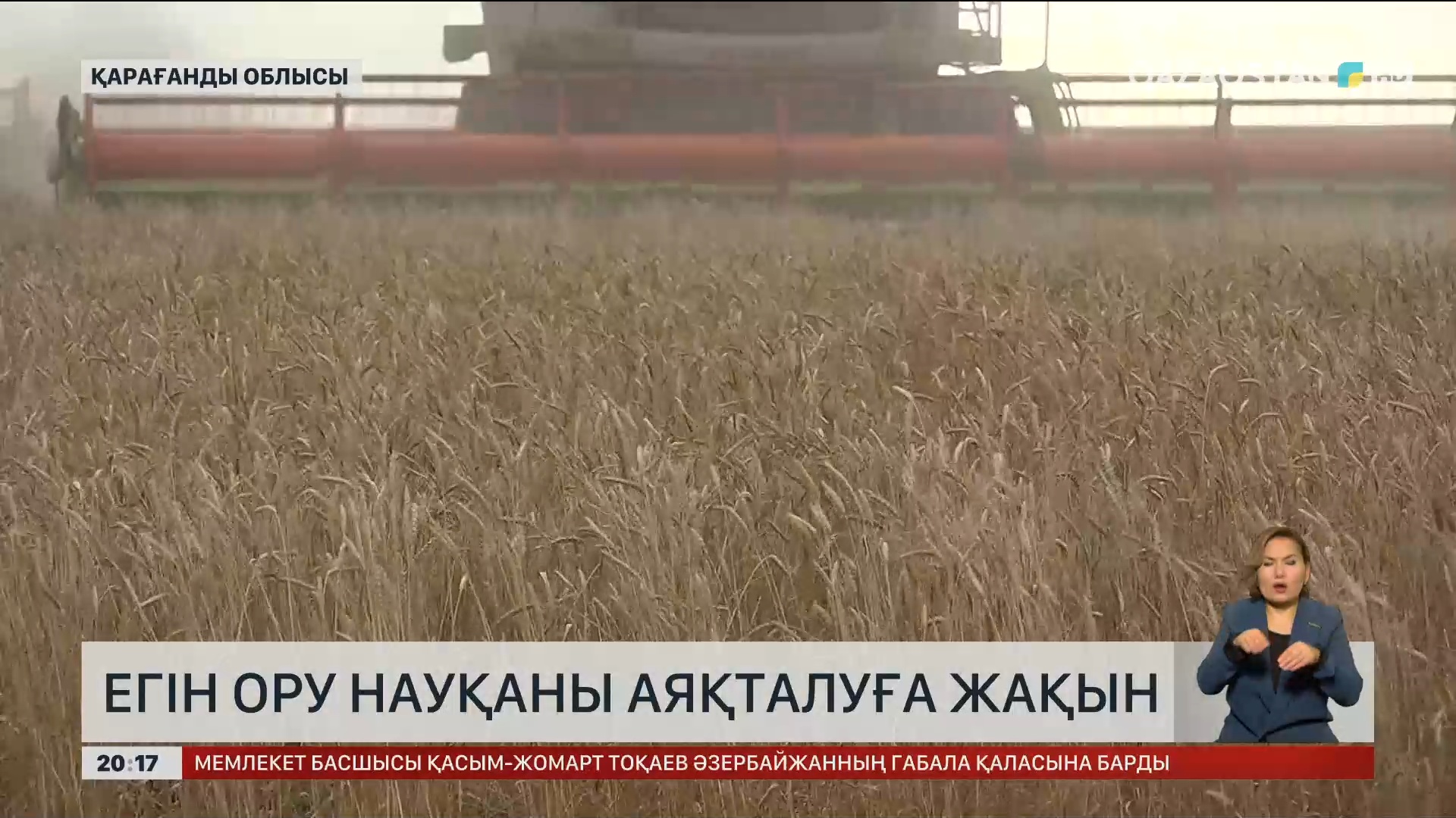 Вишневый қаласының жезөкшелері