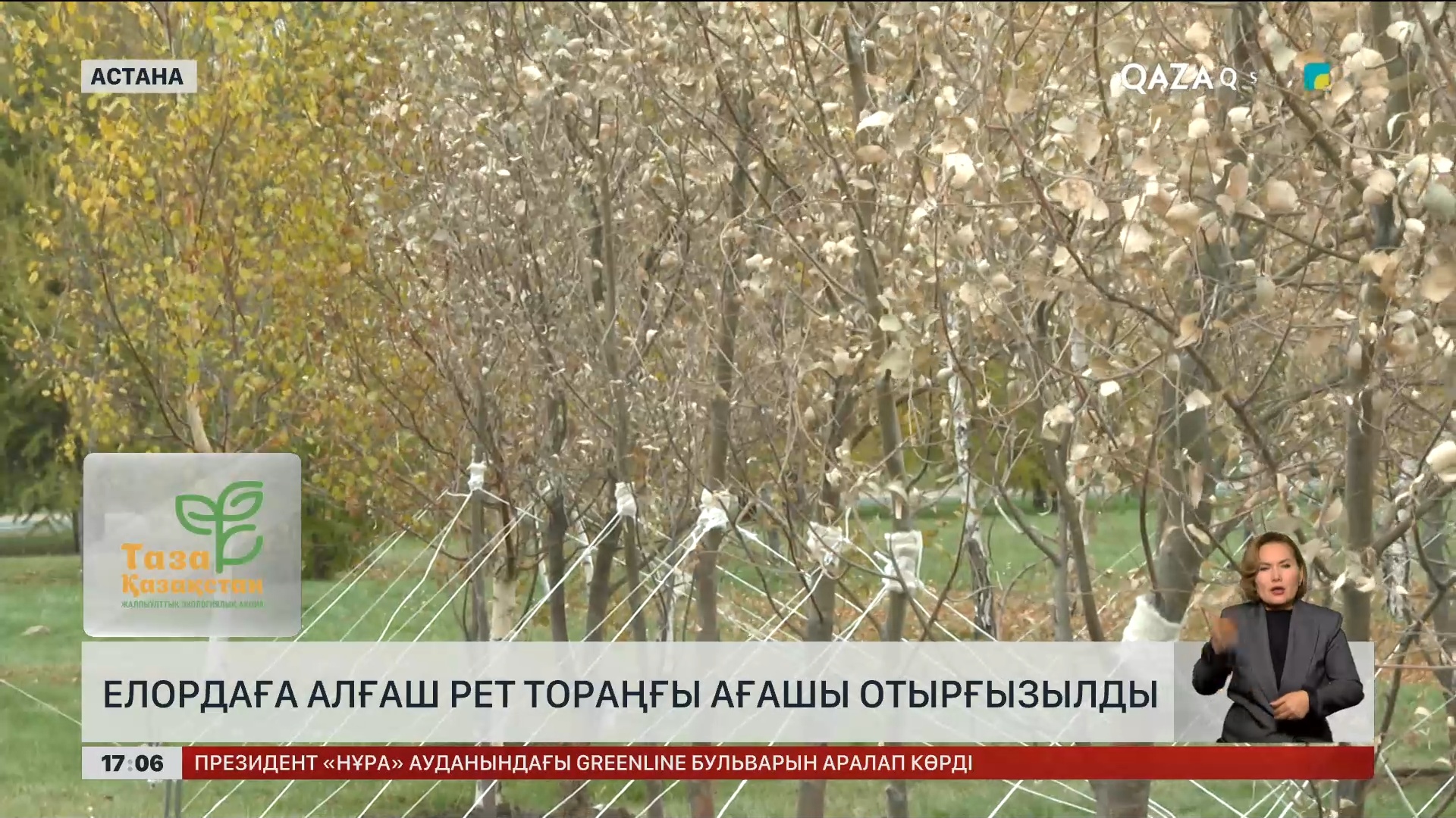 Жалаңаш жопа ит стиліндегі фото