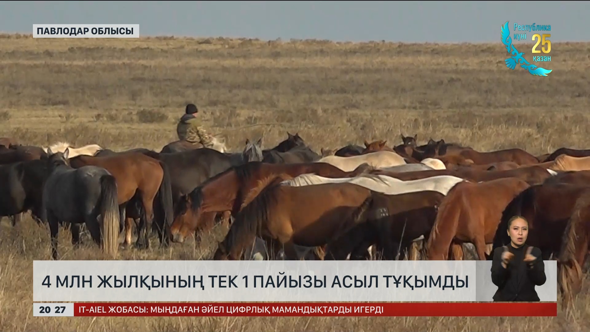 YouTube сайтындағы сексуалды бөкселер