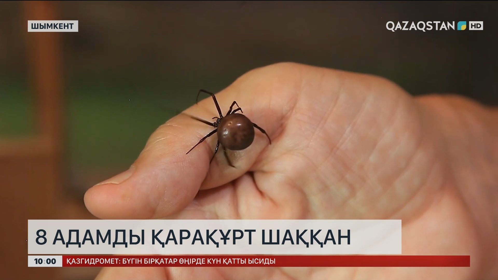 kr жоспарының фотосы