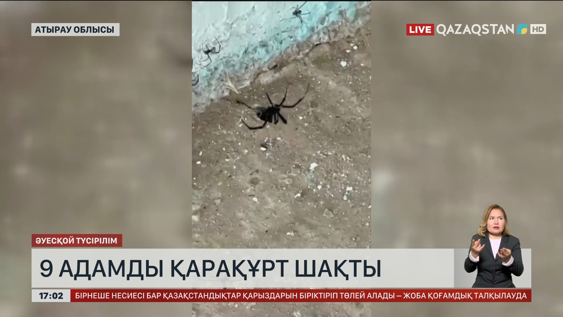 Қоғамдық жерде жұлқынып тұрған жігіттің видеосын қараңыз. Порно агент күтпеген жерден крем пиғылды