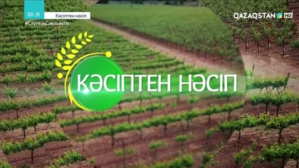 3-бағдарлама