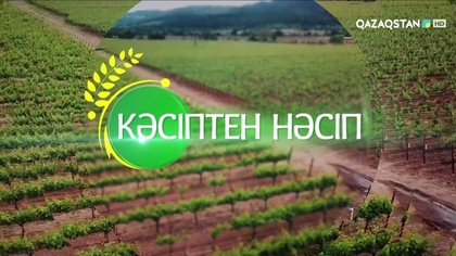 8-бағдарлама