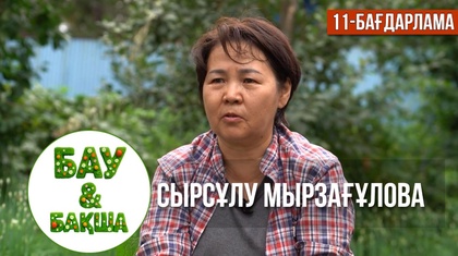 «БАУ-БАҚША». Сырсұлу Мырзағұлованың бақшасы