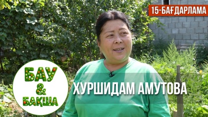 «БАУ-БАҚША». Хуршидам Амутованың бау-бақшасы | 15-бағдарлама