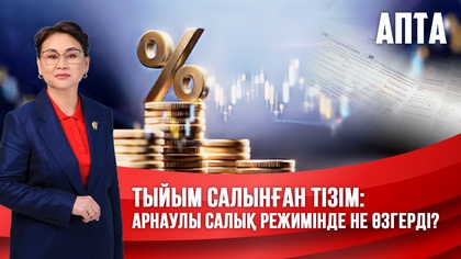 Апта. Тыйым салынған тізім: Арнаулы салық режимінде не өзгерді?