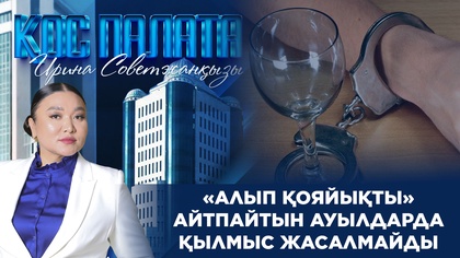 «Қос палата»: «Алып қояйықты» айтпайтын ауылдарда қылмыс жасалмайды