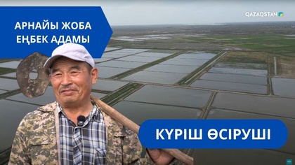 «Еңбек адамы». Арнайы жоба | Күріш өсіруші