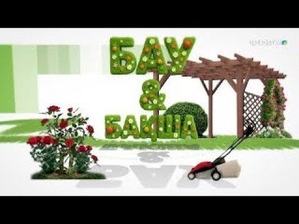 «Бау-бақша». 6-бағдарлама