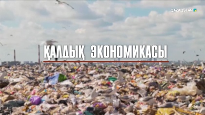 «Қалдық экономикасы». Арнайы жоба