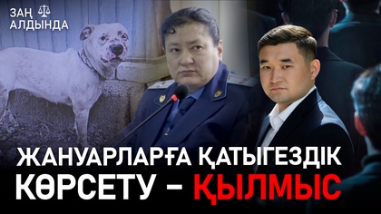 «Заң алдында». Жануарларға қатыгездік көрсету – қылмыс