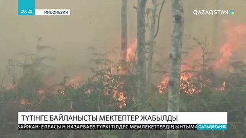 Индонезиядағы орман өртіне байланысты елде мектептер жабылды