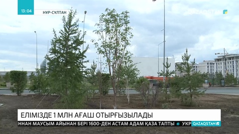 Республика аумағында 1 млн түп ағаш отырғызылады