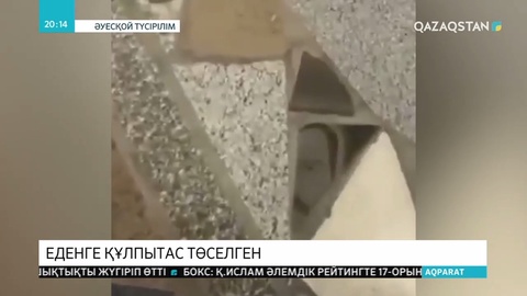Өскеменде жаңадан ашылған сауда үйінің еденіне құлпытас сынықтары төселген