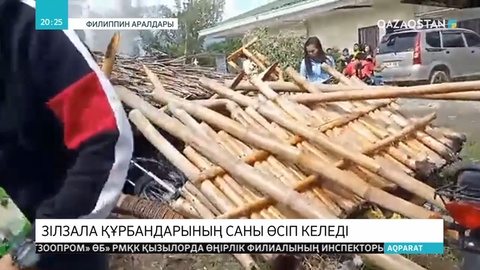 Филиппин аралдарында болған зілзаладан ғимараттар құлап, адамдар мерт болды