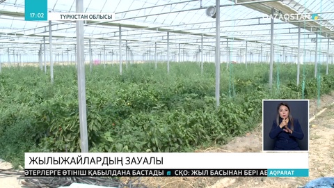 Экологиялық талапқа сай емес жылыжай иелері жазаланды