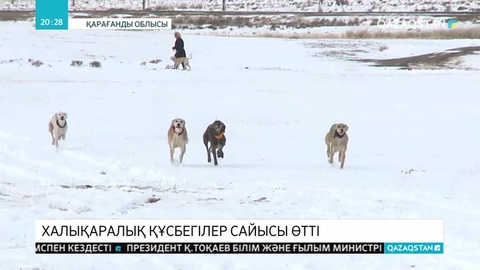 Қарағандыда халықаралық құсбегілер сайысы өтті