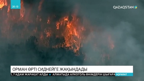 Австралиядағы орман өрті Сиднейге жақындады