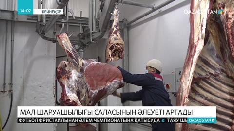 Қазақстан мал шаруашылығын дамыту үшін қарыз алмақ