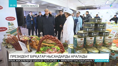 Президент Ақмола облысындағы бірқатар ірі нысанды аралады