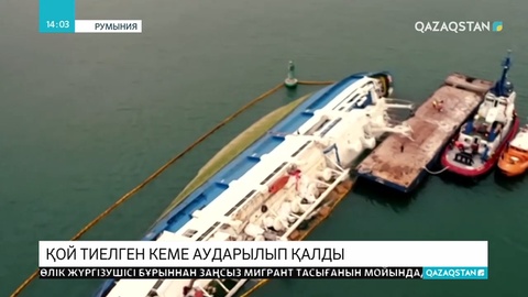Қара теңізде 14 000 қой тиелген кеме аударылып қалды