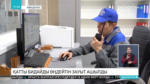 Көкшетауда қатты бидайды өңдейтін зауыт ашылды