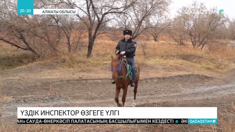Еліміздегі ең үздік учаскелік инспектор Алматы облысында тұрады
