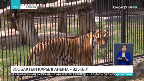 Алматы зообағының ашылғанына 82 жыл толды