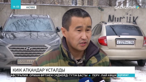 Шалқар ауданында киік атқан браконьерлер қолға түсті