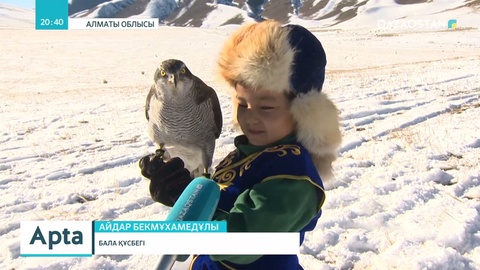 Алматының іргесінде құсбегілердің халықаралық жарысы өтті