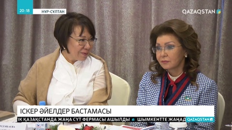 Елімізде әйелдер, балалар және егде жастағы адамдардың құқығын қорғайтын агенттік құрылуы мүмкін