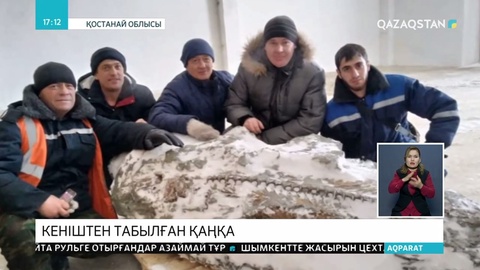 Мұхиттан тасқа айналған қаңқа табылды