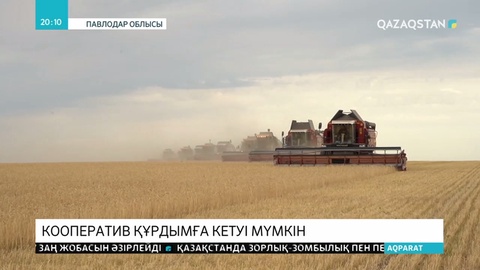 Павлодардағы ауыл шаруашылығы кооперативі құрдымға кетуі мүмкін