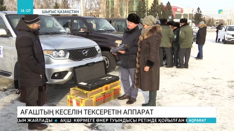 Орманшылар ағаштың кеселін тексеретін аппаратқа қол жеткізді