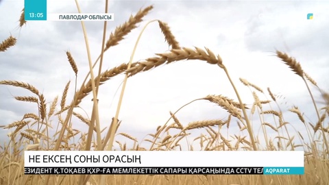 Павлодардық диқандар мол өнім алуды жоспарлап отыр