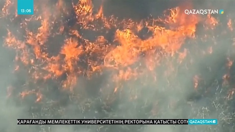 Австралияда орман өртінен жүздеген адам қауіпсіз жерге көшірілді