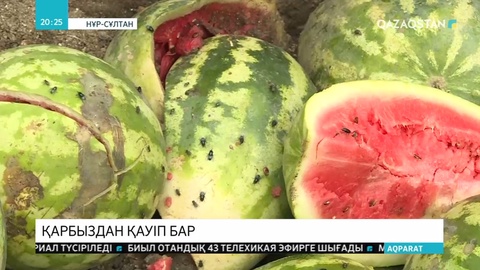 Елордаға оңтүстік өңірден жеткізілген 15 тонна қарбыз күресінге тасталды