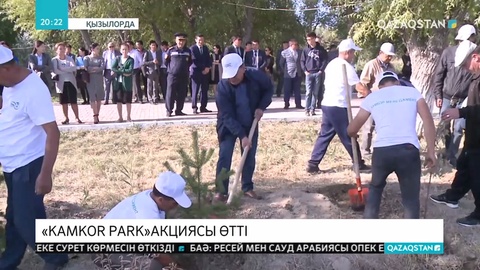 Қызылордада темір жол маңына ағаш егілді