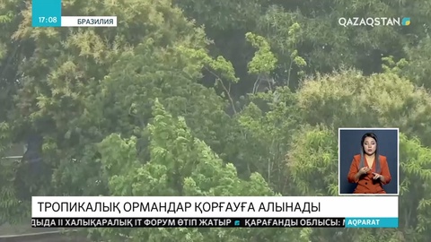 Тропикалық ормандар қорғауға алынады