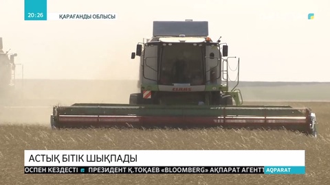 Қарағанды облысының диқандары егіннің тең жартысын орып бітті