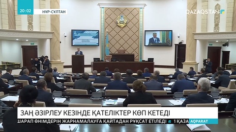 Сенаторлар заң жобаларын әзірлеушілерді сынға алды