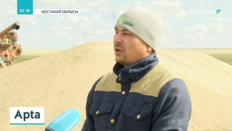 Биыл аптап ыстықтан 76 мың гектар алқаптың егіні күйіп кетті