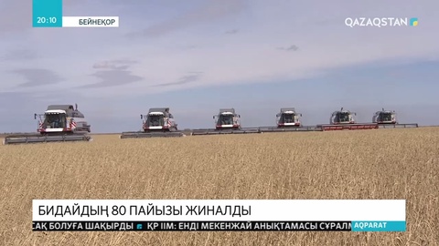 Диқандар үшін егіс алқабынан бидай жинау қиынға соғып жатыр