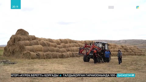 Аягөз ауданы ауыл шарушылығын дамытуда облыс бойынша көш басында тұр